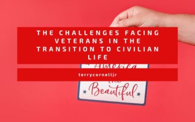 The Challenges Facing Veterans in the Transition to Civilian Life